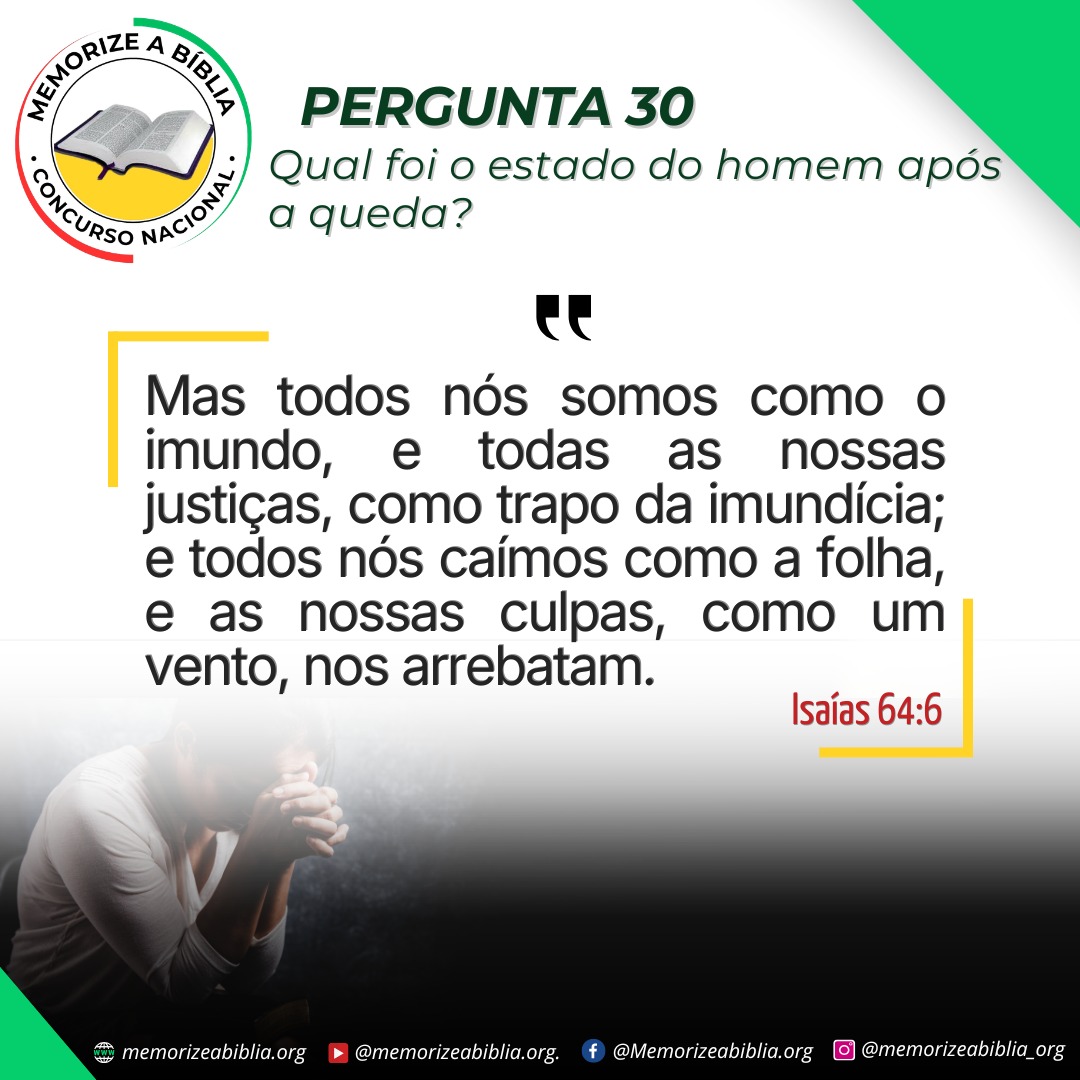 Cartaz 30