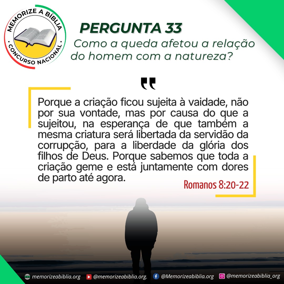 Cartaz 33