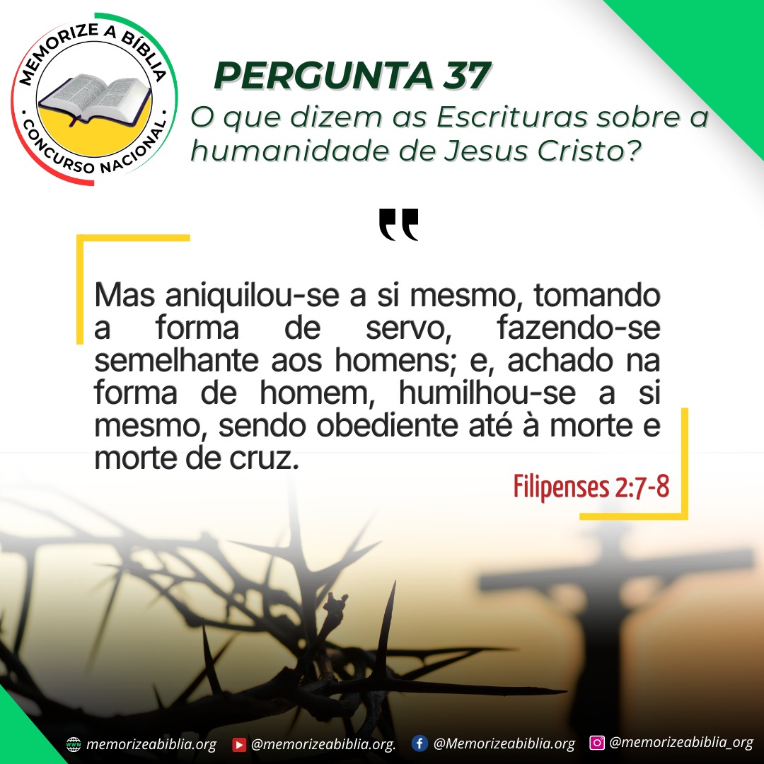 Cartaz 37