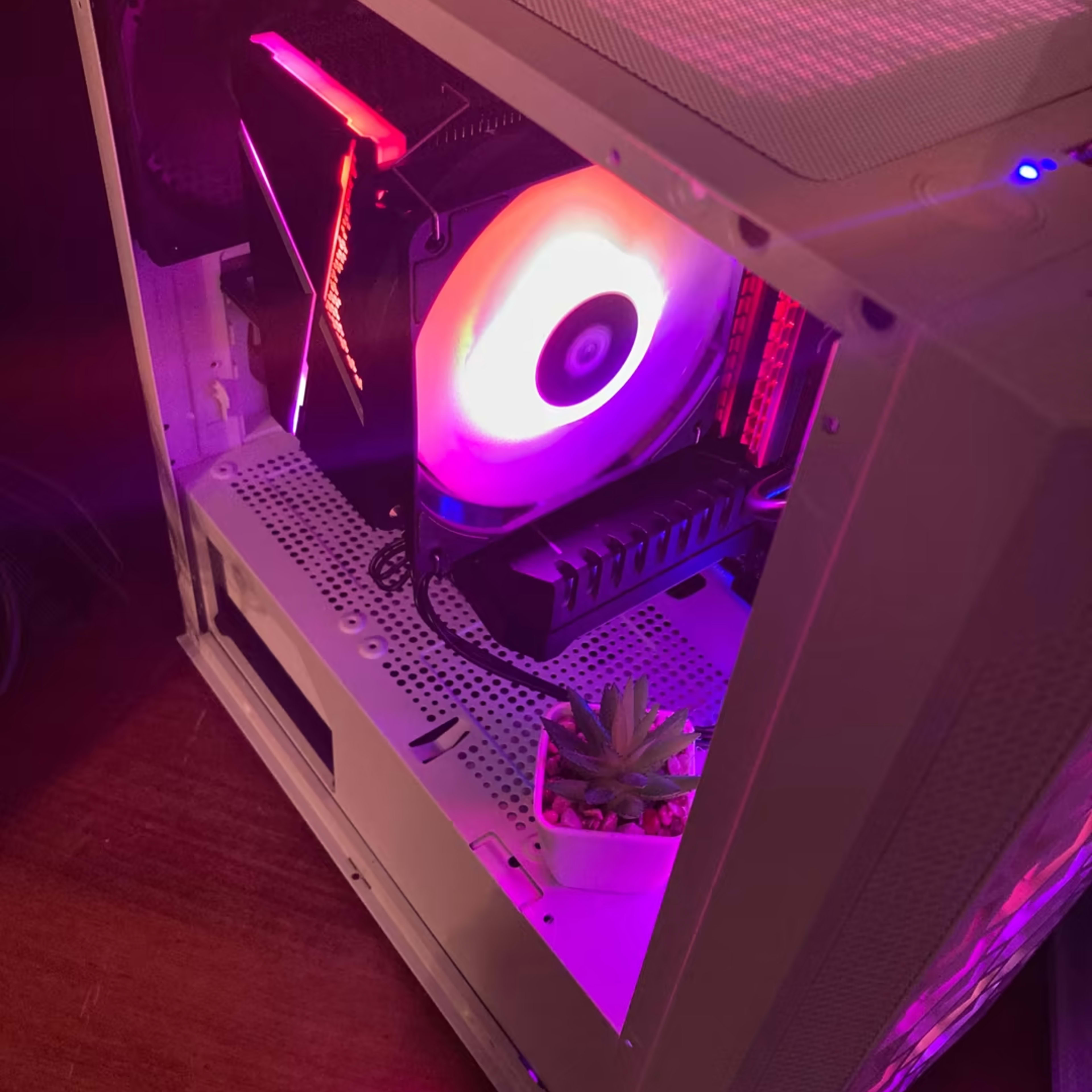 “The Wizard of Oz” Gaming PC ( I5-10400)