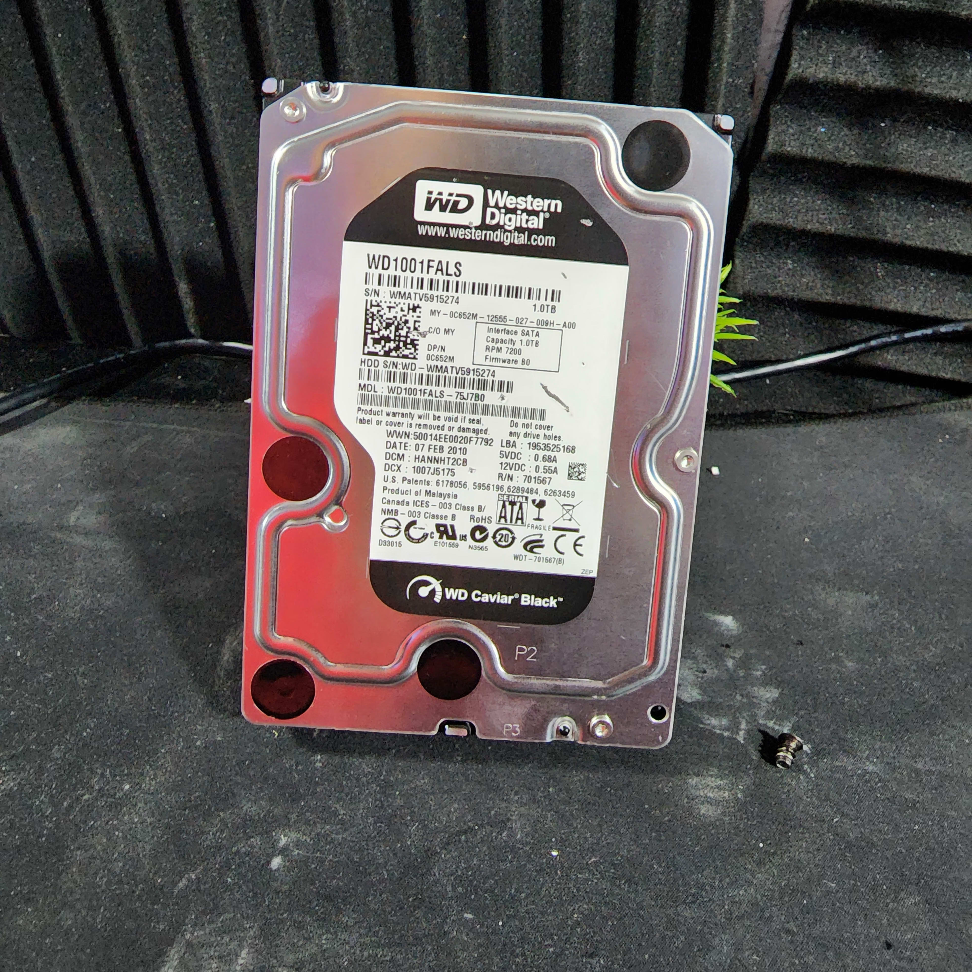 Western Digital Black 1 TB 3.5" 7200RPM Internal Hard Drive **READ DESC**