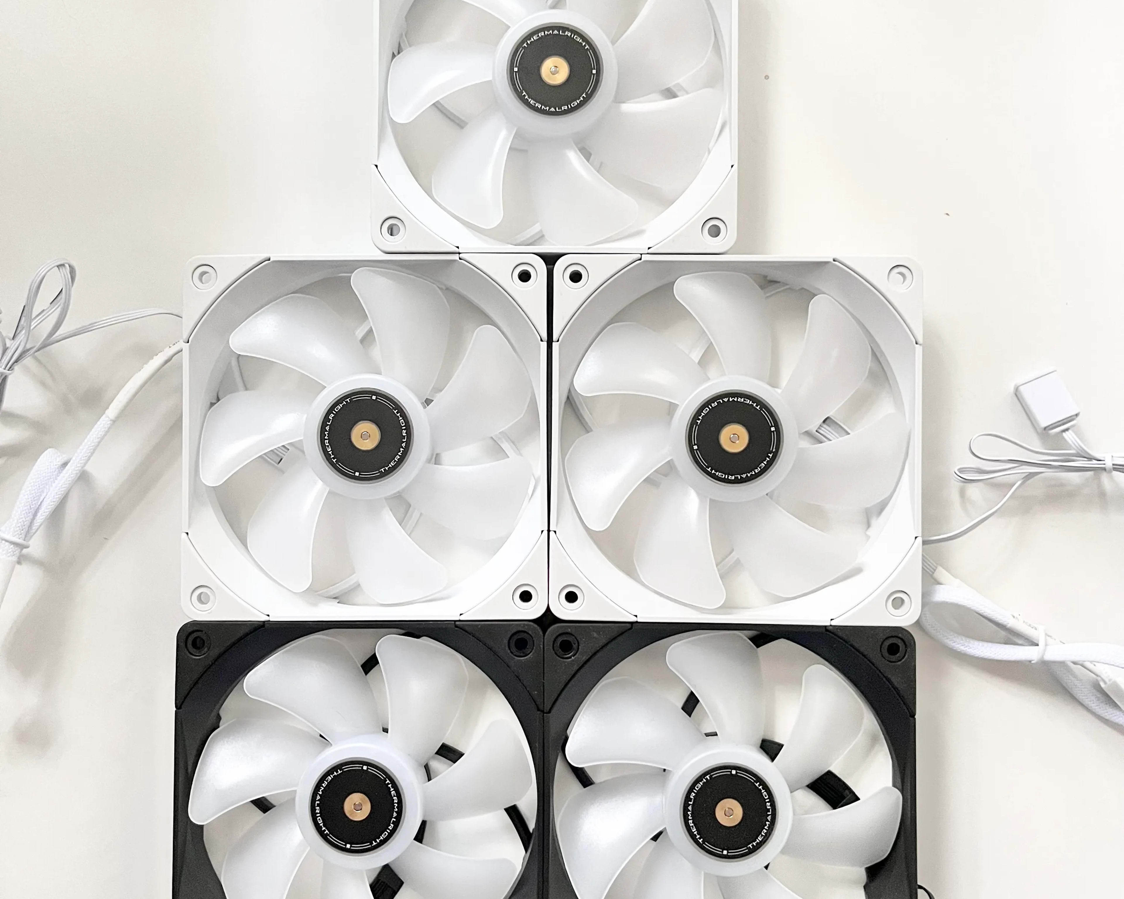 Assortment of black and white fans (5 Count)