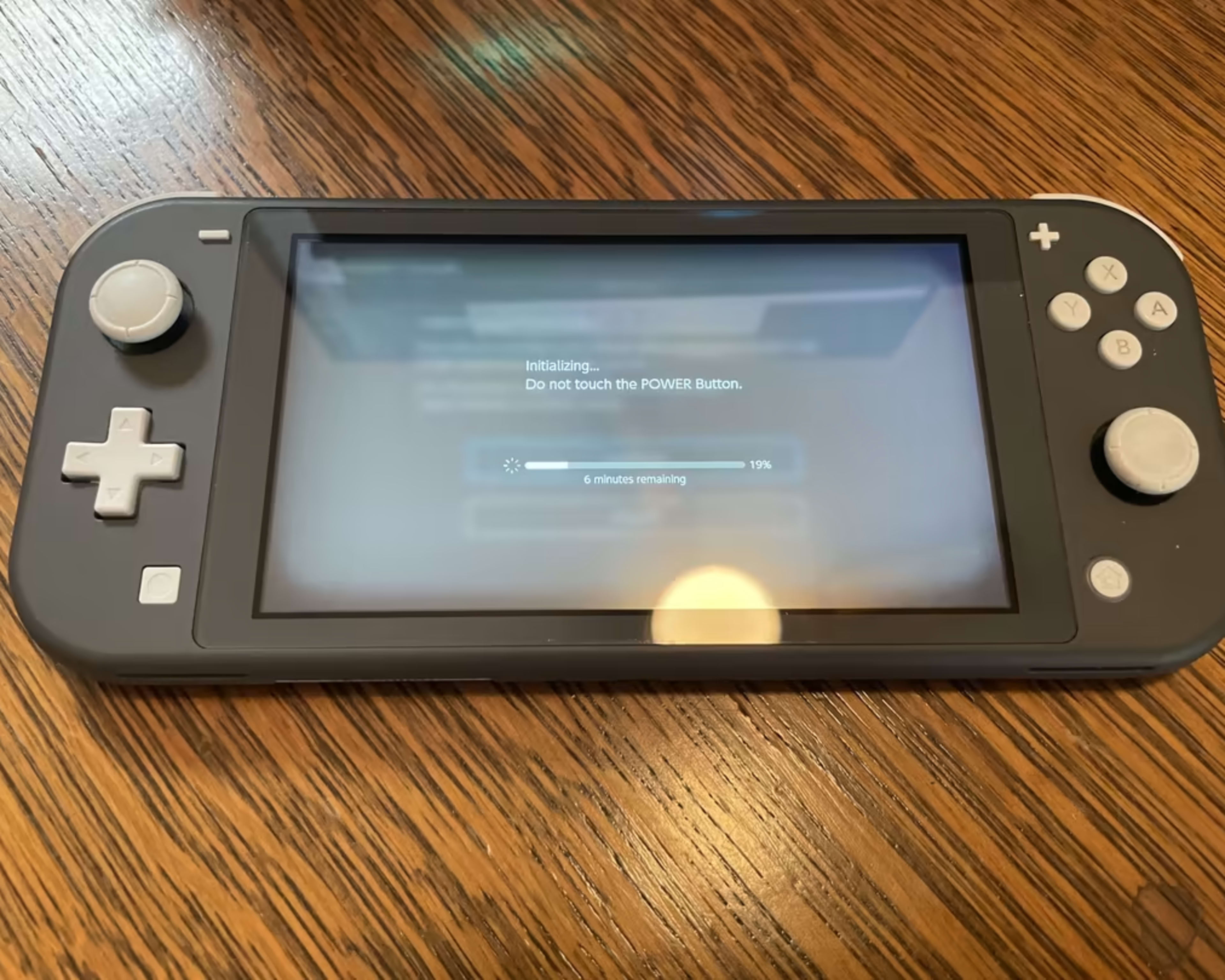 Gray Nintendo Switch Lite + case