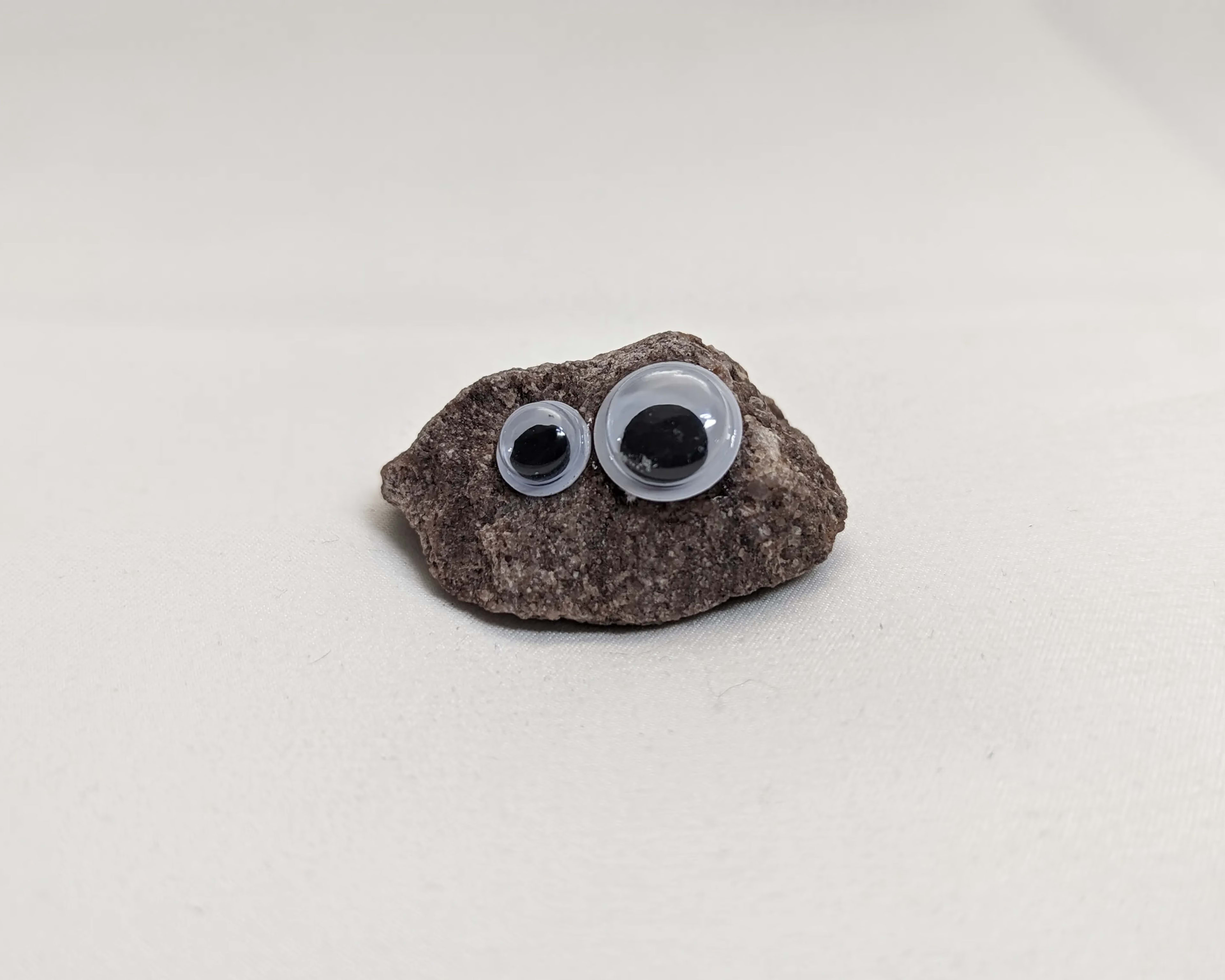 Bertrand the Pet Rock