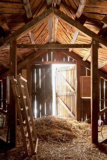 Barn Light, Brookford Farm