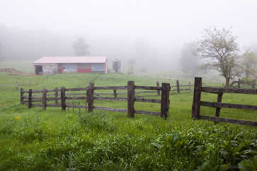 Morning Fog, Riverslea Farm