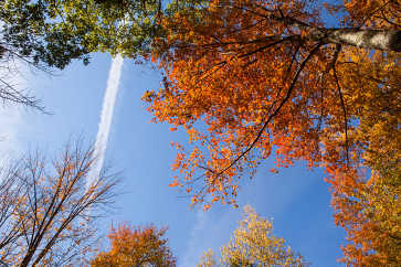 Vapor Trail on an Autumn Day