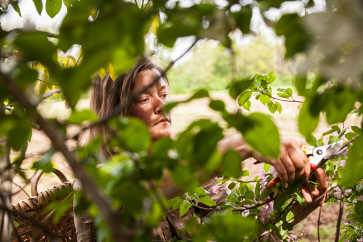 Professional forager Jenna Rozelle