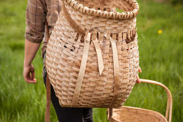 Professional forager Jenna Rozelle