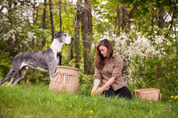 Professional forager Jenna Rozelle