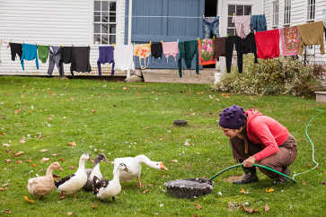 Jean and the Birds, Meadow’s Mirth Farm