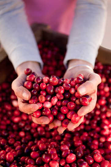 Our Own Fresh Cranberries