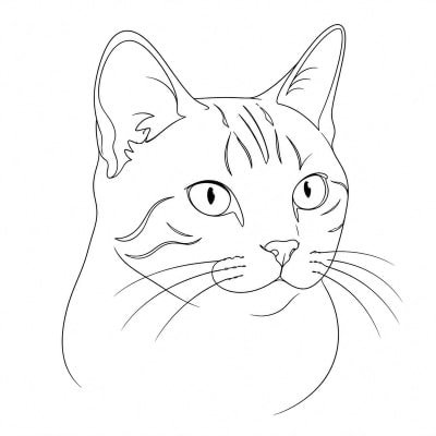 Minimalist
