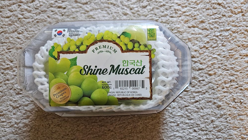 Shine Muscat 1