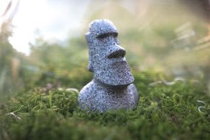 The Begärlig terrarium