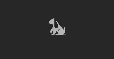 Logo 4
