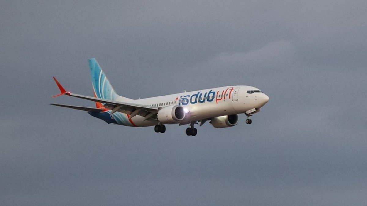 Passengers stop co-pilot from crashing plane - plane crash