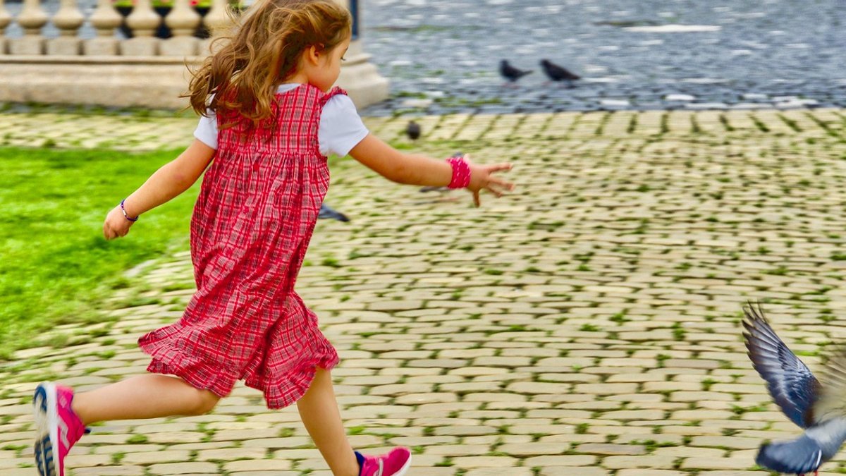 JPMorgan Chase names new HR chief Girl, chase, pigeon, running, fun, chase, chase, chase, chase, chase.