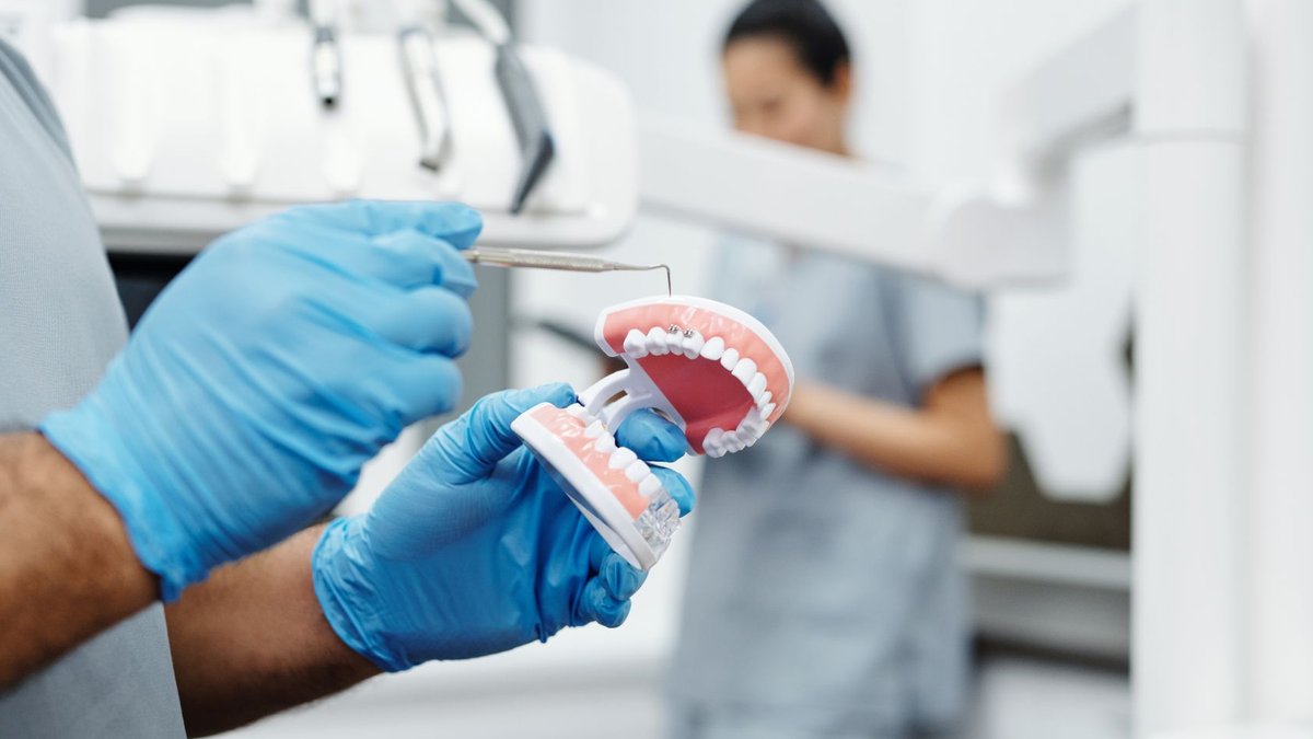 Dentist holding a dental model and scaler in a clinic for oral hygiene demonstration.