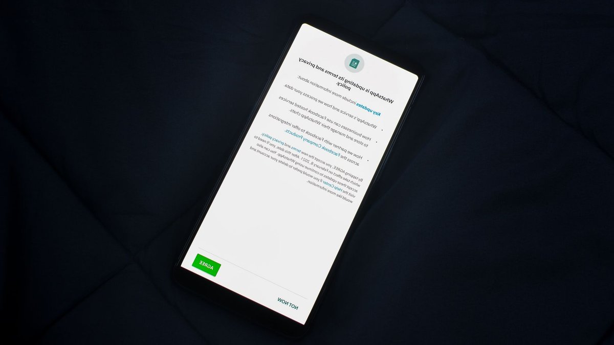 Close-up of smartphone screen showing a privacy policy update agreement.