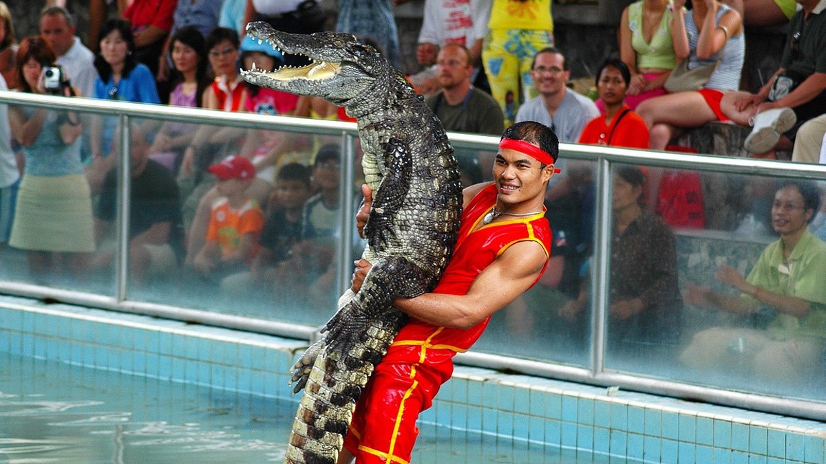 Egypt fintech MNT-Halan raises $82M ahead of IPO Crocodile band, million year stone park, thailand.