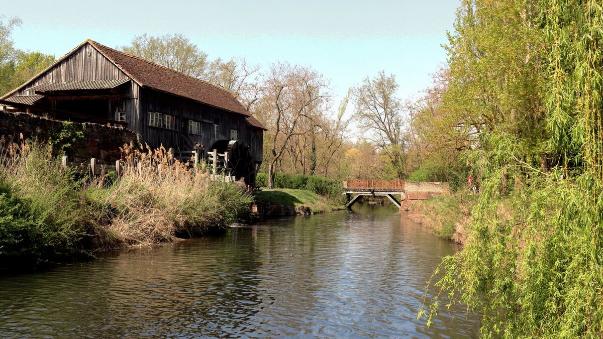 Copdock Mill Wholesale Expands Pet Feed Services Copdock Mill Wholesale Expands Pet Feed Services - pet feed