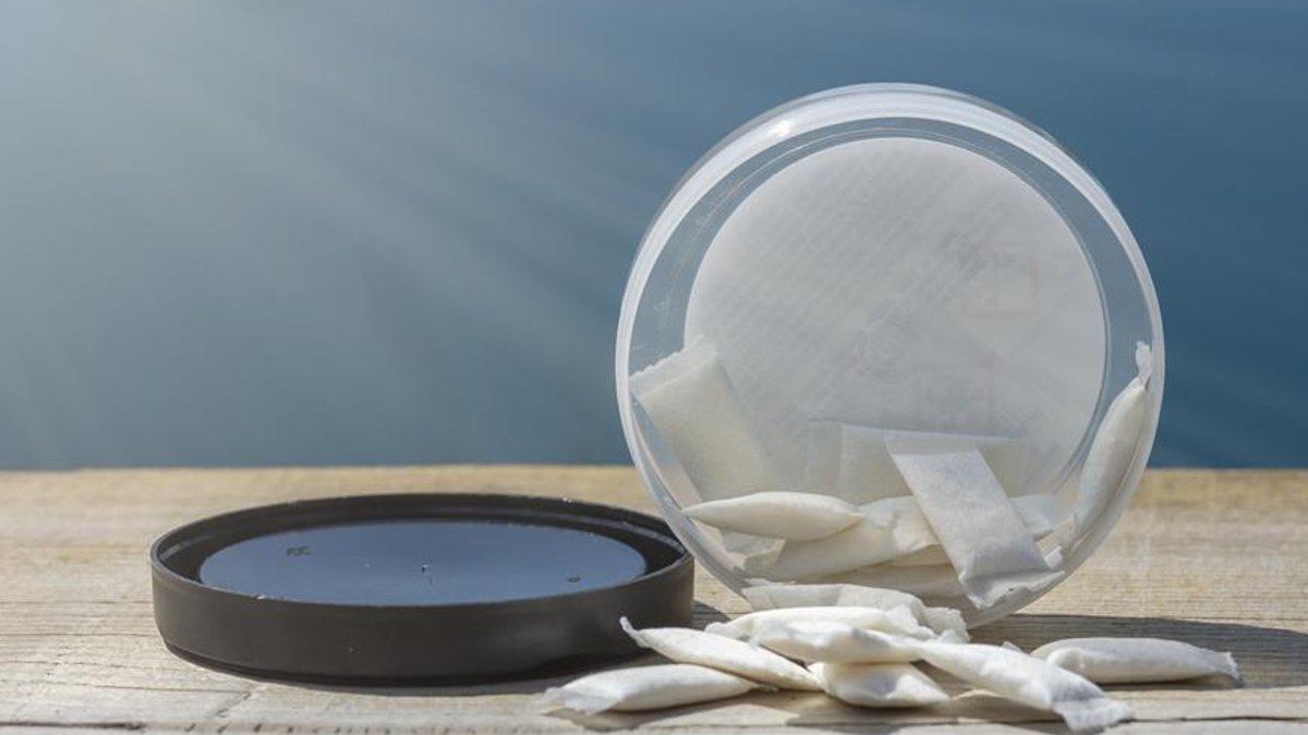 EU Ministers Seek Ban on Nicotine Pouches EU Ministers Seek Ban on Nicotine Pouches - nicotine pouches