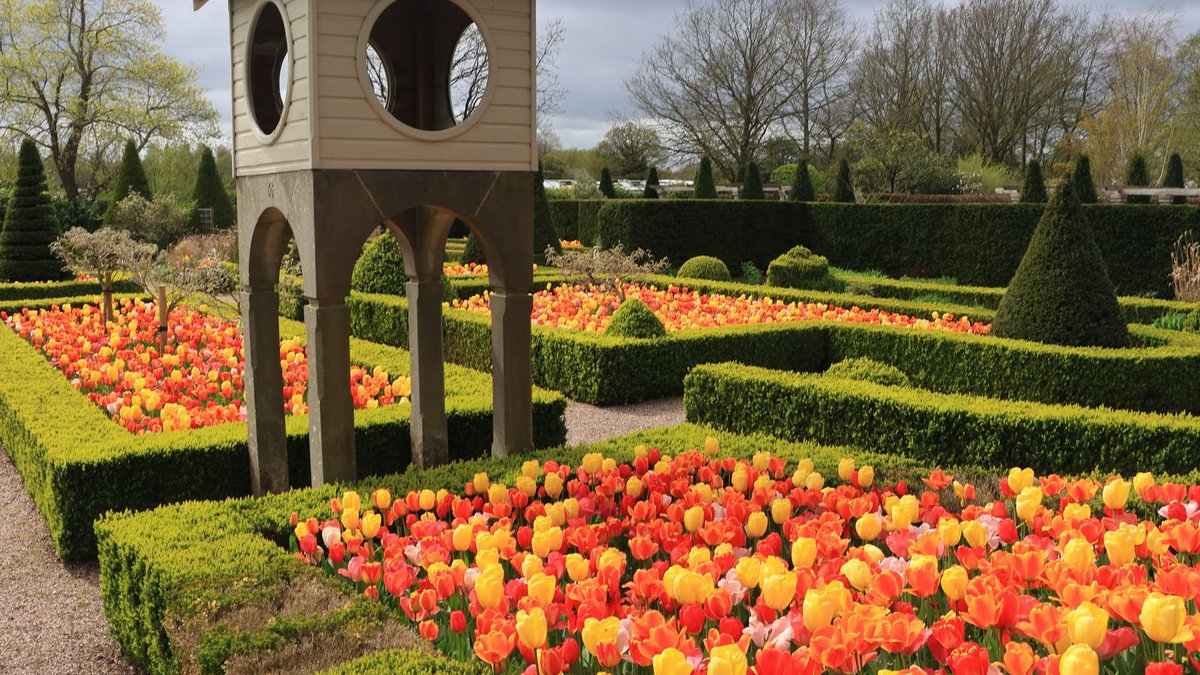 People's Choice Award Winners Announced at Chelsea Flower Show People's Choice Award Winners Announced at Chelsea Flower Show - chelsea flower show awards