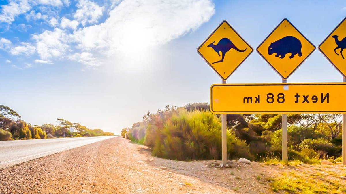 Explore NSW's most scenic seaside road trips Explore NSW's most scenic seaside road trips - scenic seaside road trips
