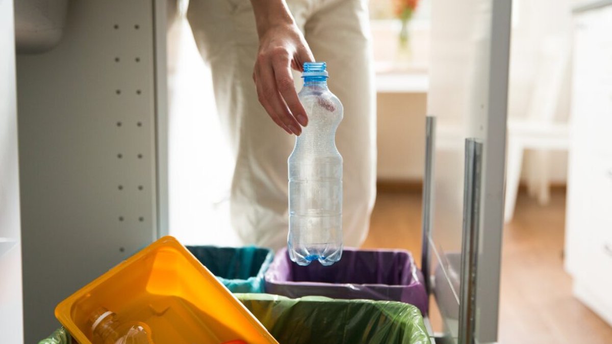 Cardiff Council to launch recycling strategy consultation - cardiff council