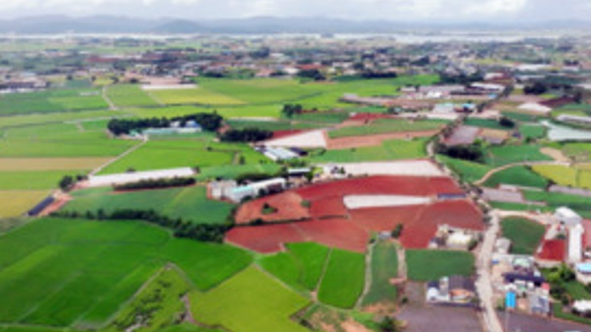 South Korea’s Jeonnam-Gwangju pivots to semiconductor supply chain - semiconductor supply chain