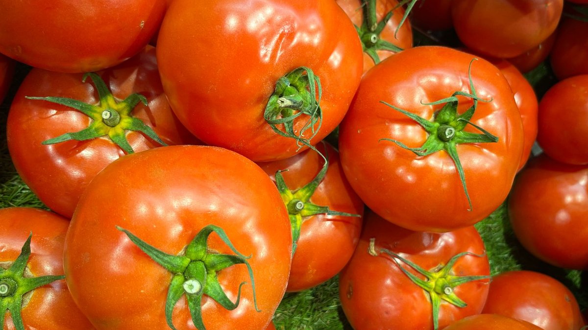 Close-up of fresh, ripe red tomatoes on display at a local market, showcasing vibrant natural produce.