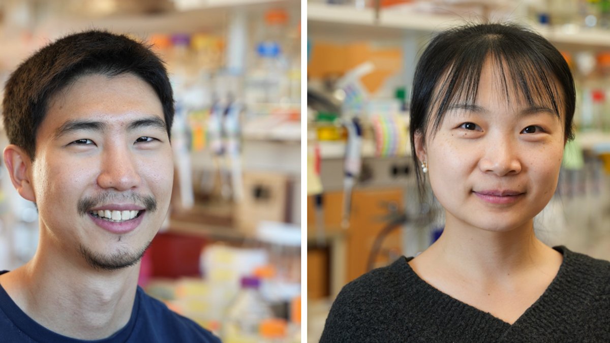 Anqi Chen, left, and Hojae Choi, are lead authors on two Nature papers from UW Medicine Institute for Protein Design. (IPD Ph