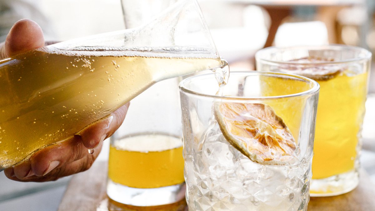 Kombucha reduces depression-like behavior in male mice Kombucha reduces depression-like behavior in male mice - kombucha depression