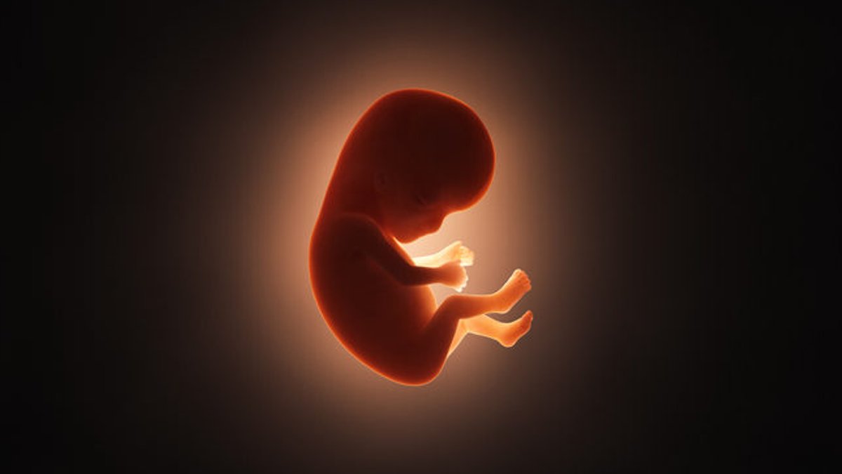 Genomics Experts Debate Newborn Sequencing Timing and Ethics Genomics Experts Debate Newborn Sequencing Timing and Ethics - newborn sequencing