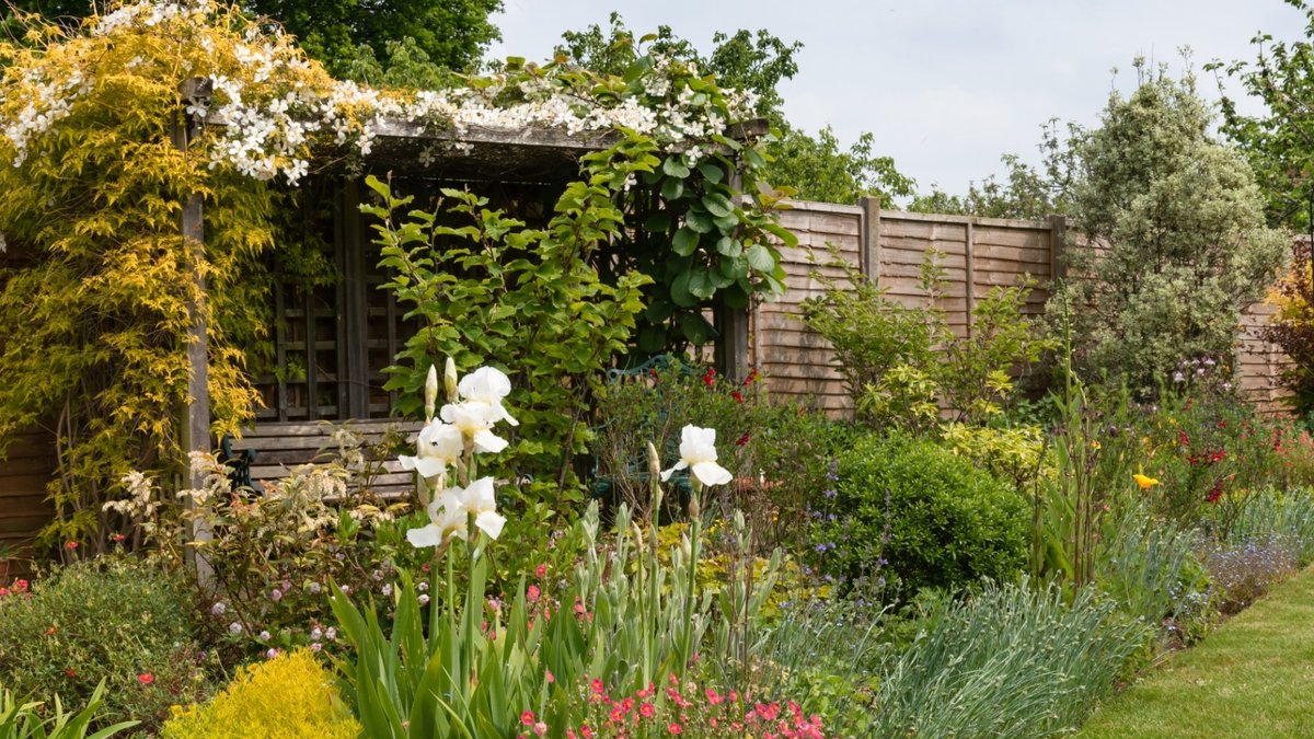 How to transform small gardens with better plant layering How to transform small gardens with better plant layering - transform small gardens