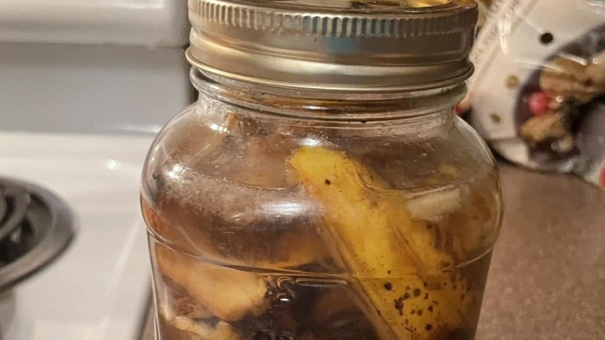 Banana Peel Water Fails to Feed Houseplants - banana peel water