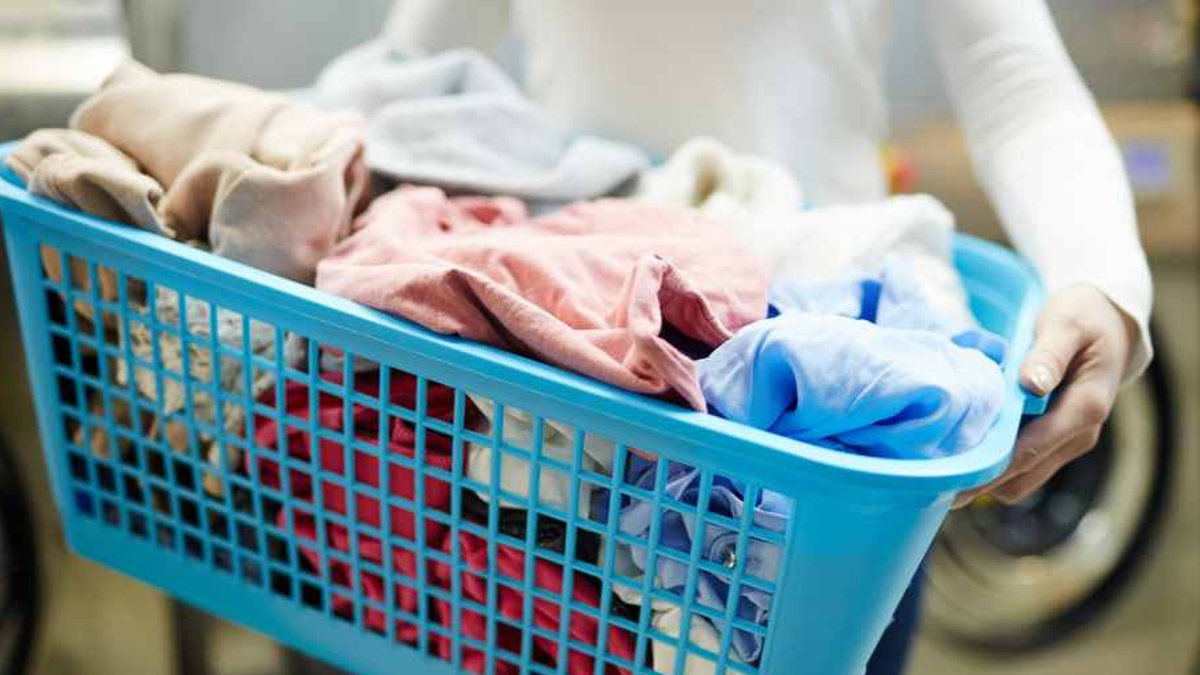 Vertical SaaS modernizes India's laundry and garment care industry - vertical saas