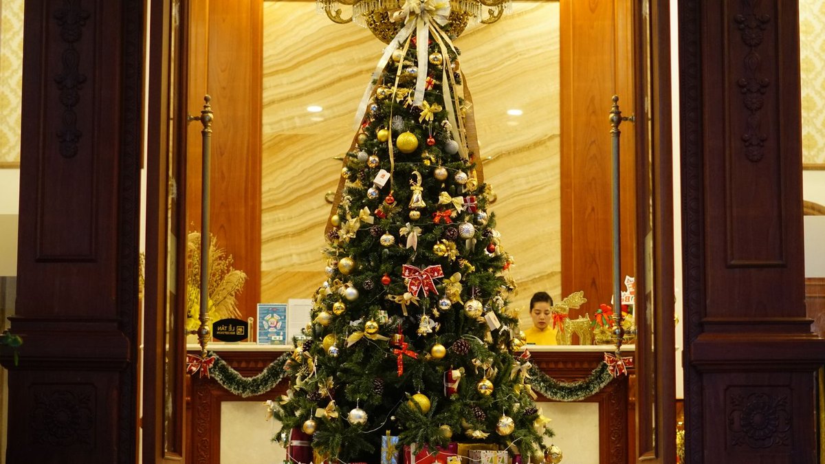 Elegant hotel lobby decorated with illuminated Christmas tree and wrapped presents.