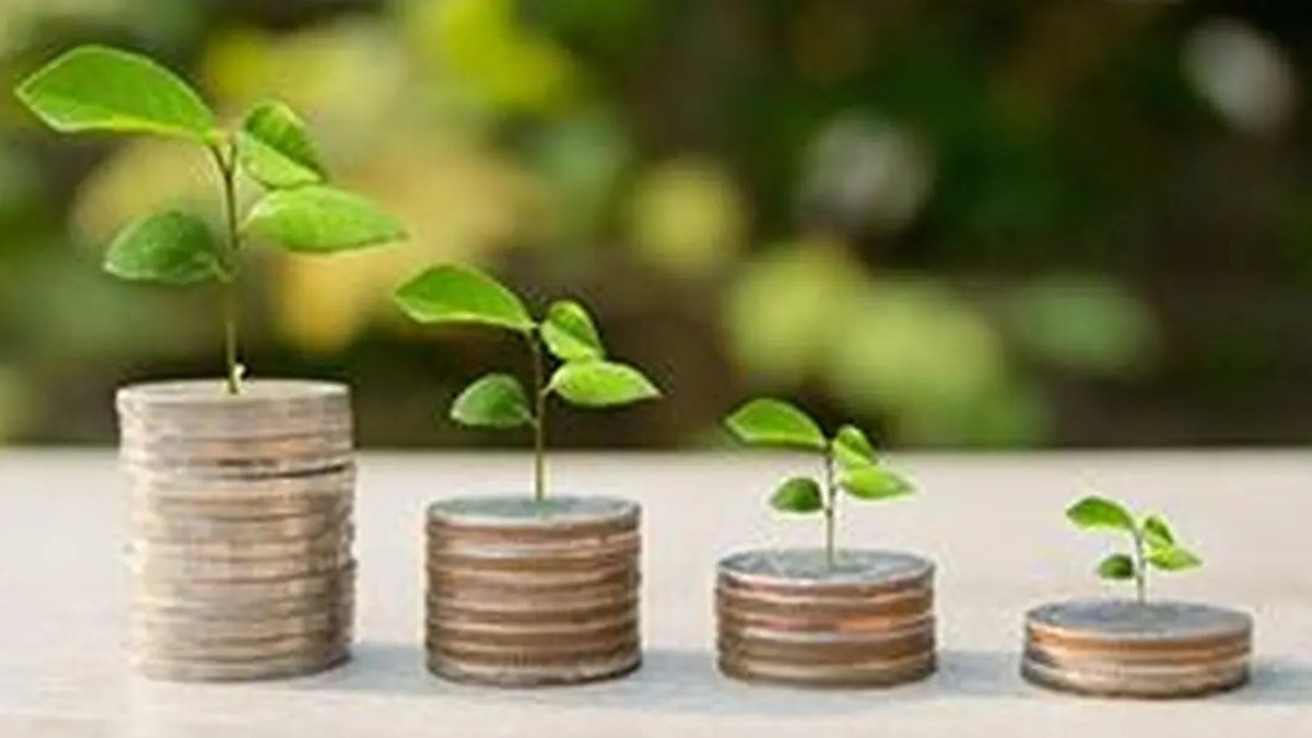 Bristlecone revenue grows 24 percent yearly - bristlecone revenue