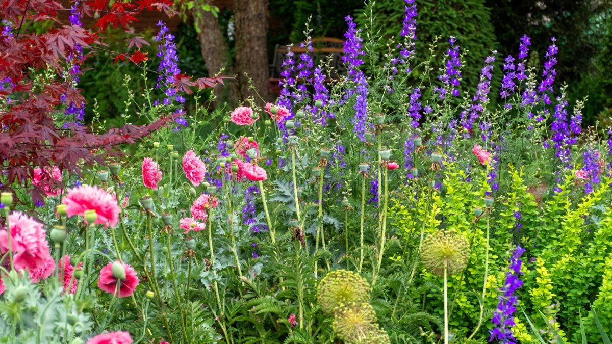 Garden experts offer heatwave recovery tips - heatwave recovery
