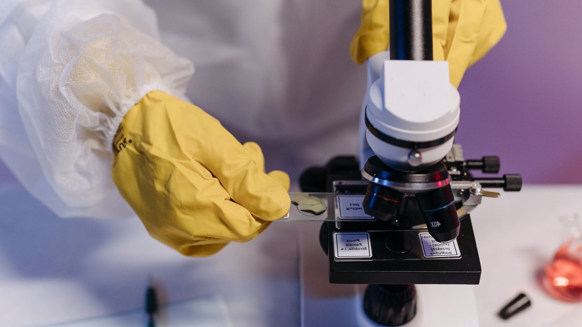 New ADC Doubles Survival in Treated Gastroesophageal Cancer Researcher in protective gloves examines samples under a microscope in a lab setting.