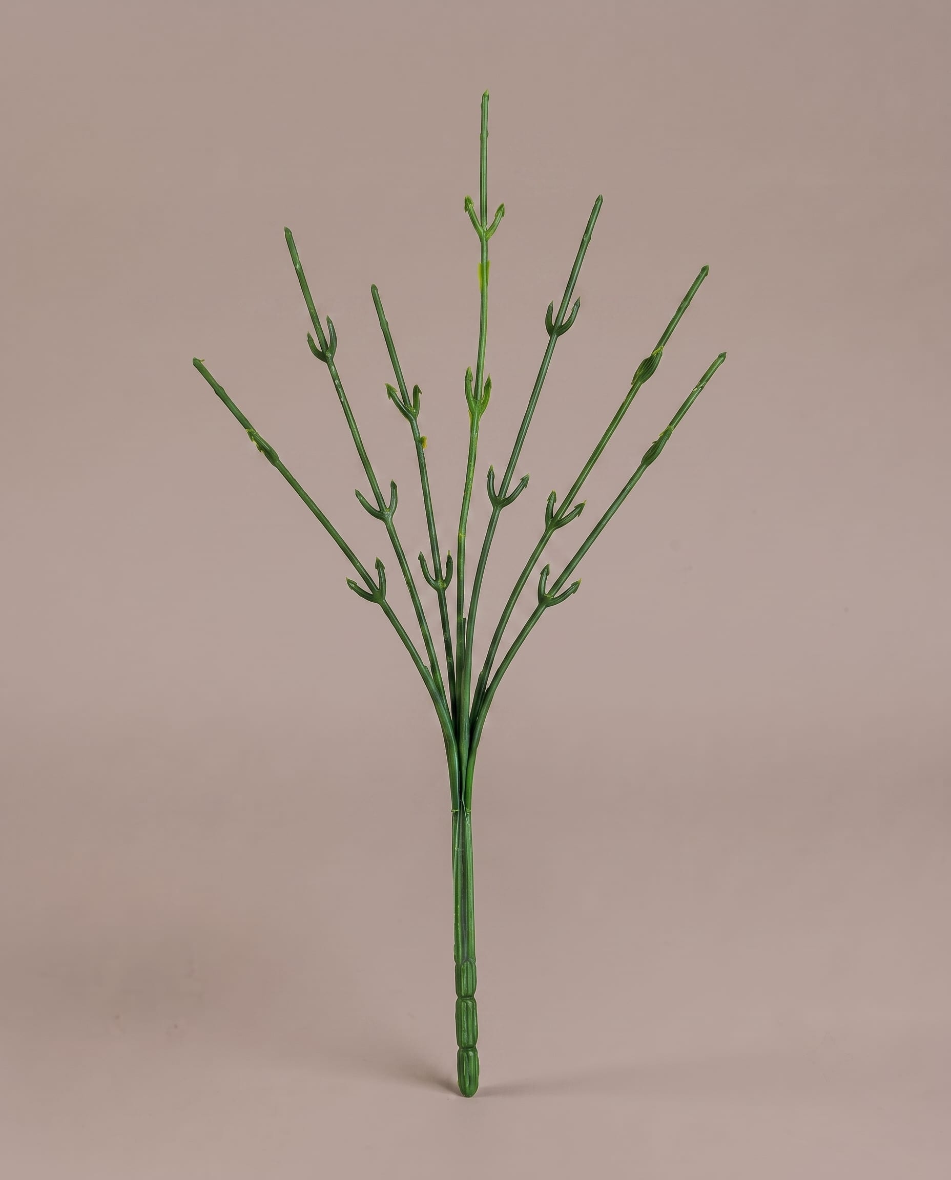 Empty Bunch Wholesale
