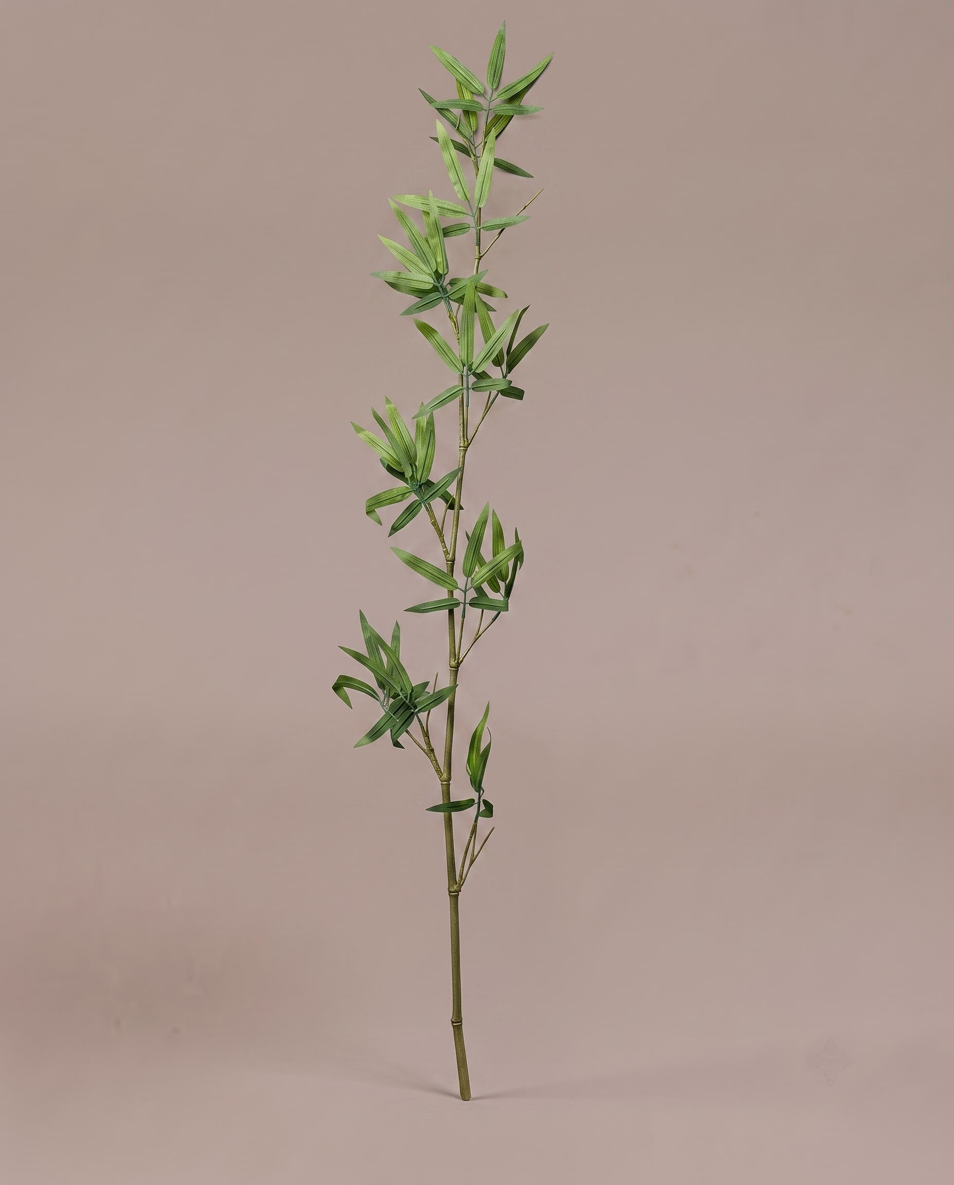 Bamboo Stick Wholesale