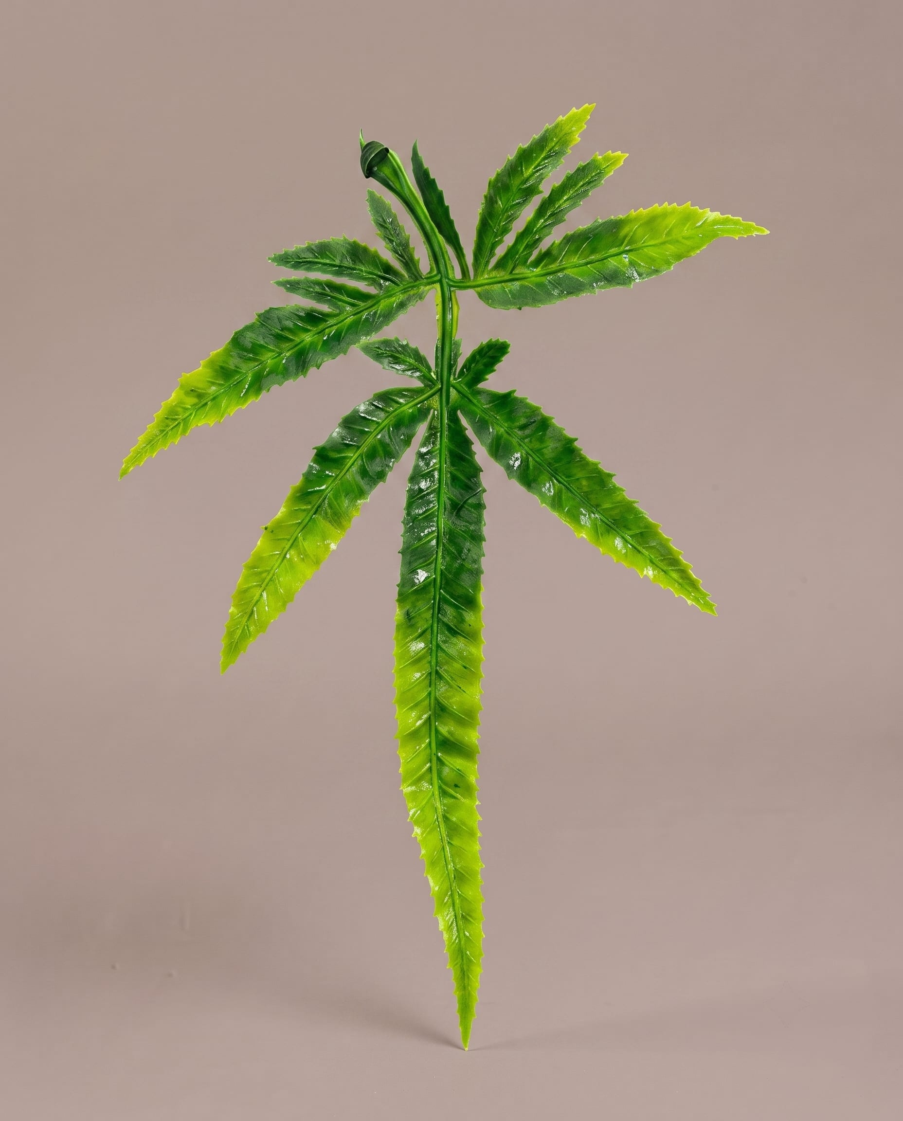 Filler Flower Items Wholesale