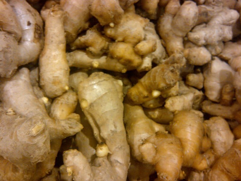 Homemade Ginger Ale that is so easy (even a 7-year-old can do it)