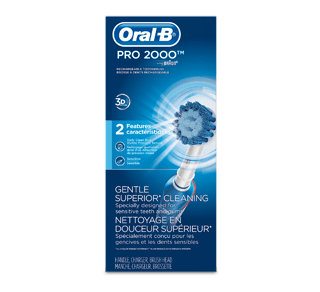 Bruidegom gereedschap blijven Pro 2000 Power Rechargeable Electric Toothbrush – Oral-B : Dental care tool  | Jean Coutu