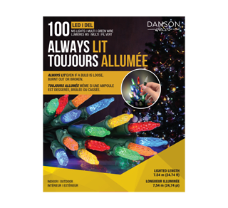 Toujours Allumée jeu de 100 lumières à DEL M5 à facettes, 100 unités,  multicolore – Danson Décor : Décorations