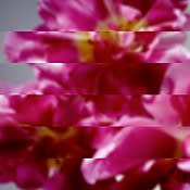 Mondo Grosso 何度でも新しく生まれる