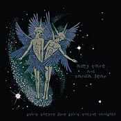 Avey Tare and Panda Bear Spirit They're Gone Spirit They've Vanished